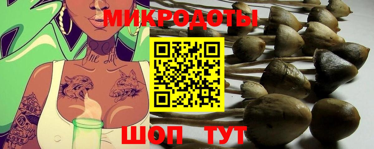 Галлюциногенные грибы MAGIC MUSHROOMS  Псилоцибиновые грибы мухоморы  Вход с VPN  Барабинск 